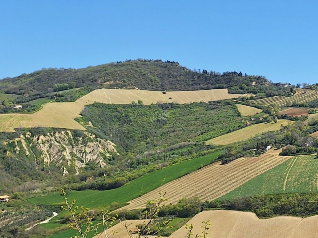 View on HOMESTEAD HILL