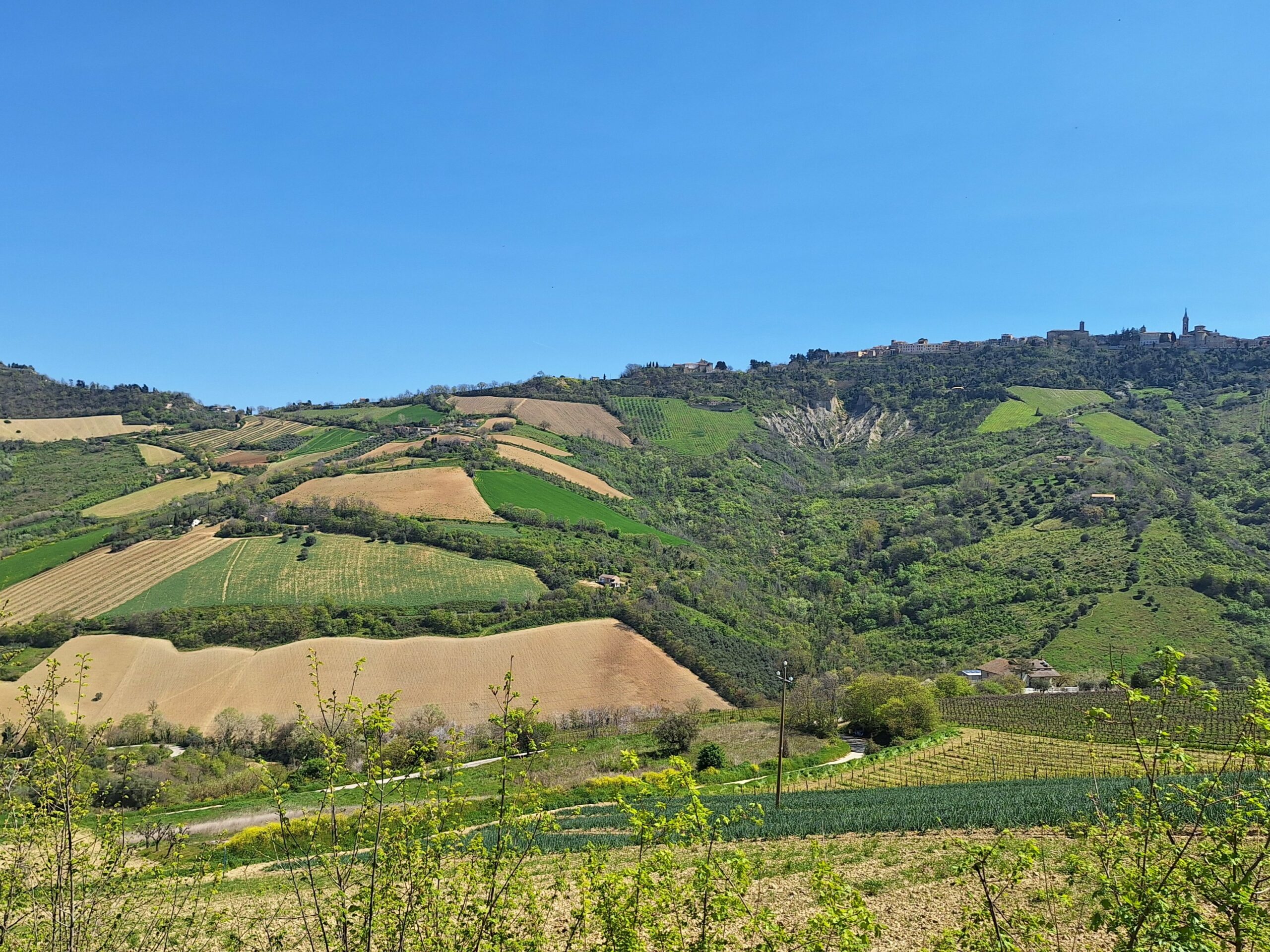 View on Ripatransone