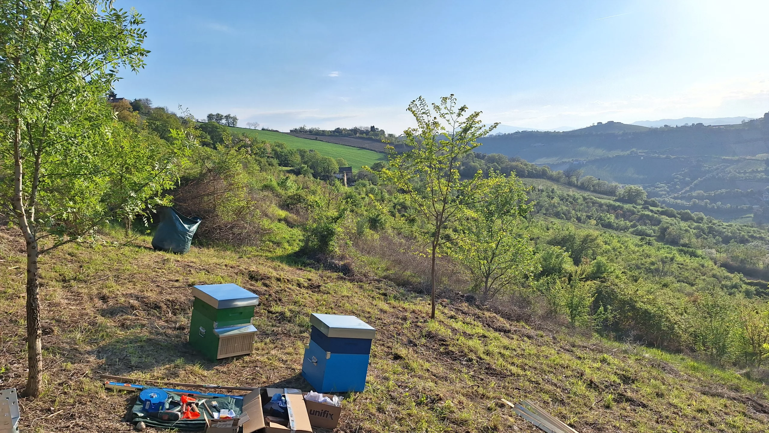 Beehive location